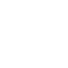 RAY INTERIOUS